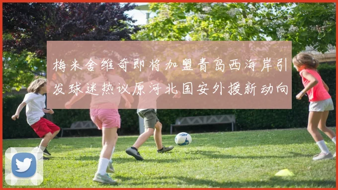 梅米舍维奇即将加盟青岛西海岸引发球迷热议原河北国安外援新动向