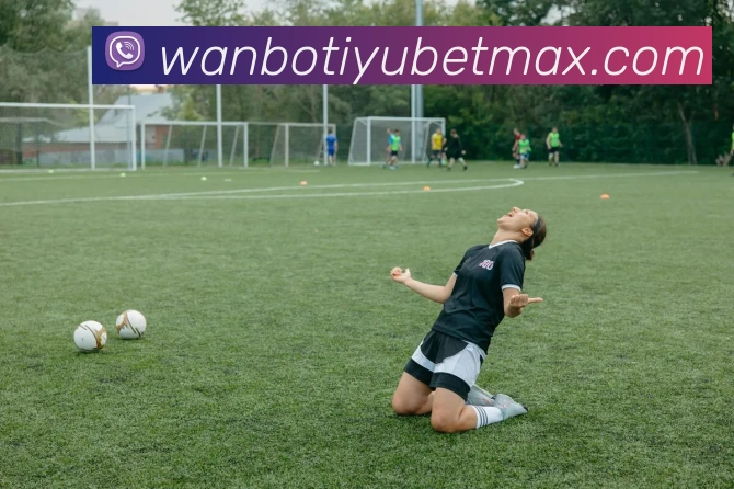 万博体育APP 封面图